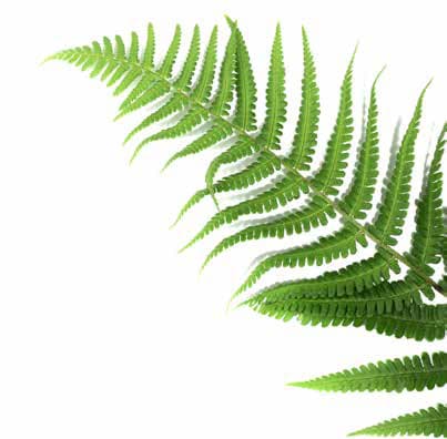 Northwind Sanctuary - Image 6